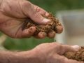 Весна на пороге: как преобразить тяжелую почву на даче