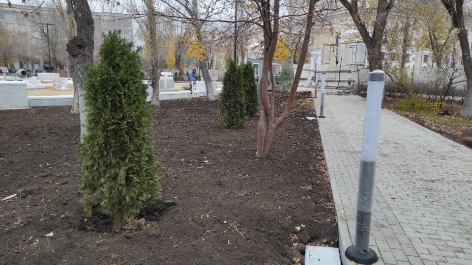 В сквере имени Ленина высадили деревья и кустарники декоративной породы