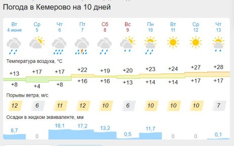 Лето в Сибири: высадка рассады томатов под угрозой заморозков