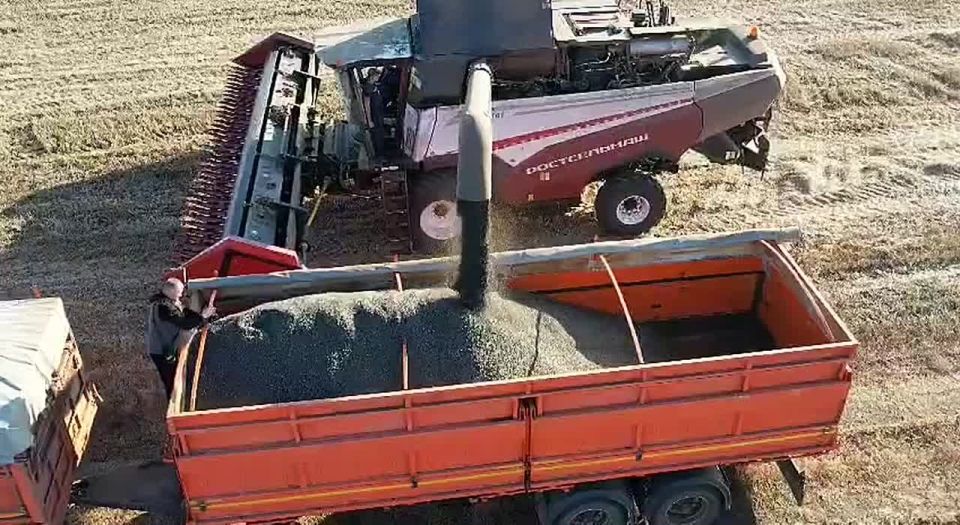 Аграрии Оренбуржья намолотили более 4,1 миллиона тонн зерна