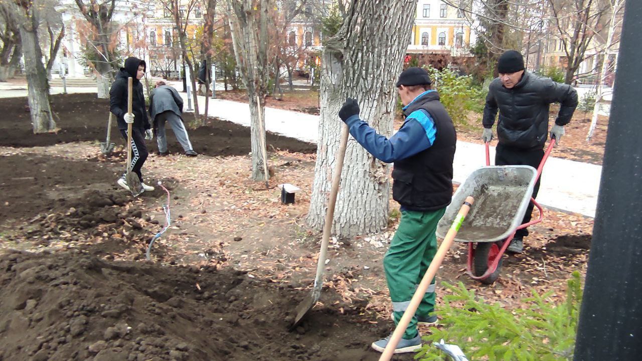 В сквере имени Ленина высадили деревья и кустарники декоративной породы В сквере имени Ленина высадили деревья и кустарники декоративной породы