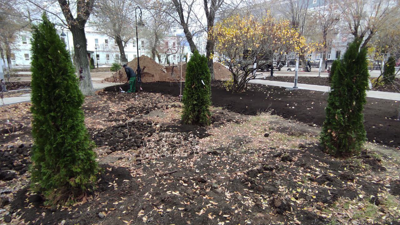В сквере имени Ленина высадили деревья и кустарники декоративной породы В сквере имени Ленина высадили деревья и кустарники декоративной породы