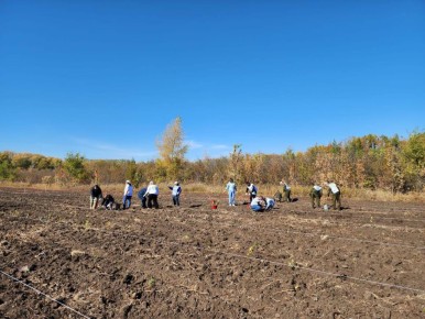 В Оренбуржье в седьмой раз проходит акция «Сохраним лес»