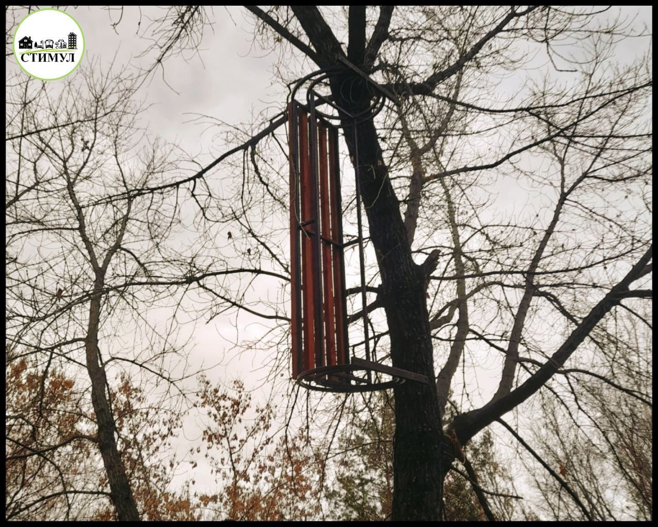 Давайте вместе придумаем подписи к этим фото )