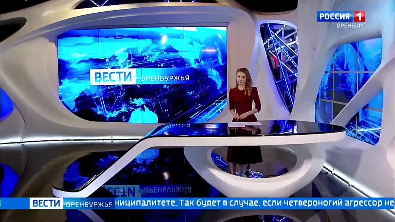 Для введения экстраординарного режима по собакам в населённых пунктах Оренбуржья теперь достаточно одного укуса