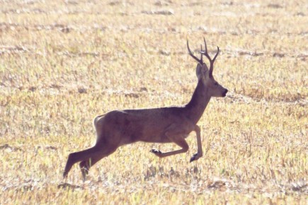 Доброе утро! Прогноз погоды на 30 октября