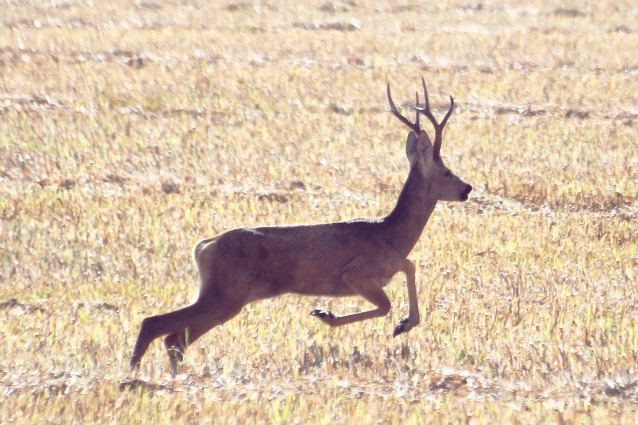 Доброе утро! Прогноз погоды на 30 октября