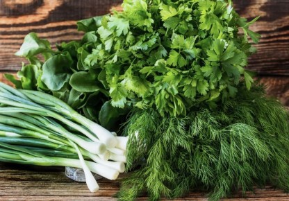 Секреты непрерывного урожая зелени: как собирать свежие травы все лето