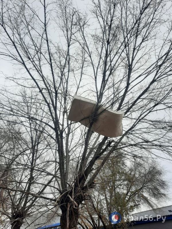 Если в Саракташе на деревьях устраивают инсталляции из лавочек, то в Орске – из матрасов