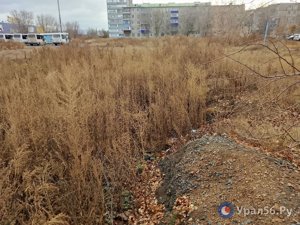 В Орске засыпают один из котлованов в районе ул. Пацаева. Что будет со вторым? В Орске засыпают один из котлованов в районе ул. Пацаева. Что будет со вторым?