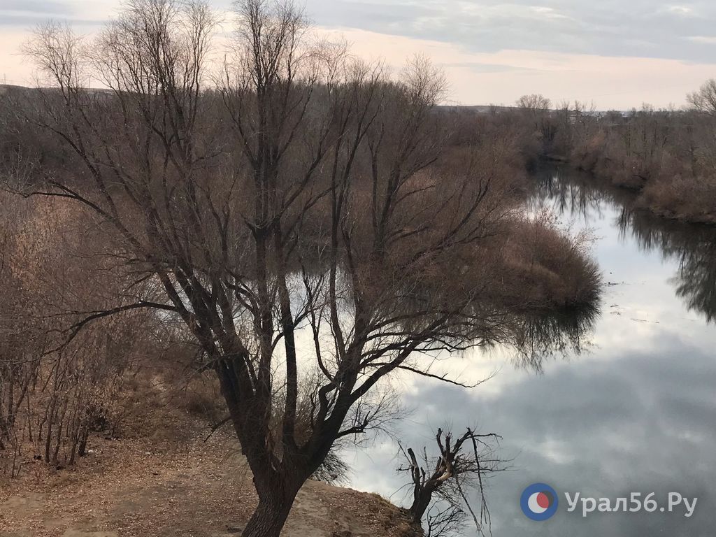 Осенняя река Орь и мост через нее в Орске Осенняя река Орь и мост через нее в Орске