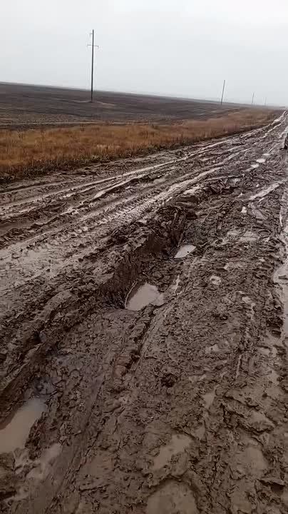 В Матвеевском районе дорог нет, есть только направления