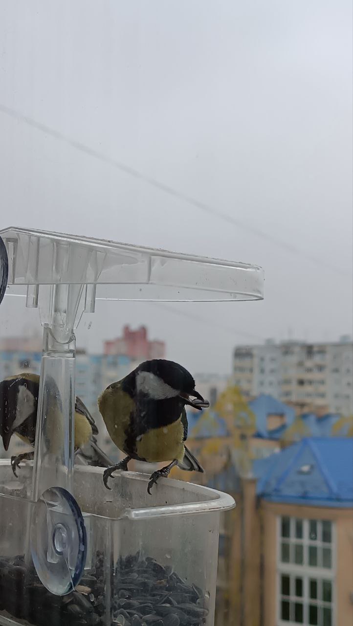 Доброе утро! Прогноз погоды на 3 ноября