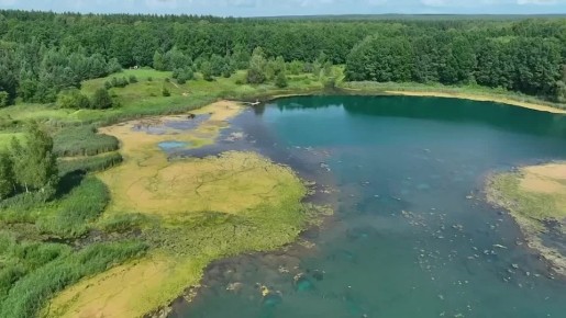 «Гляжу в озера синие»: проект #МУЗЫКАВМЕСТЕ представляет новую композицию ко Дню народного единства