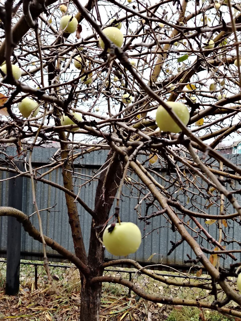 Доброе утро! С Днём народного единства, друзья!