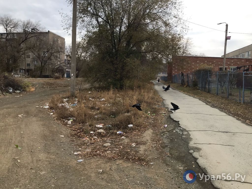 К домам задом, к детсаду передом: В Орске мусор от площадки летит на тротуары и к дошкольникам К домам задом, к детсаду передом: В Орске мусор от площадки летит на тротуары и к дошкольникам