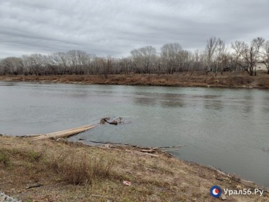Урал в Оренбурге продолжает мелеть