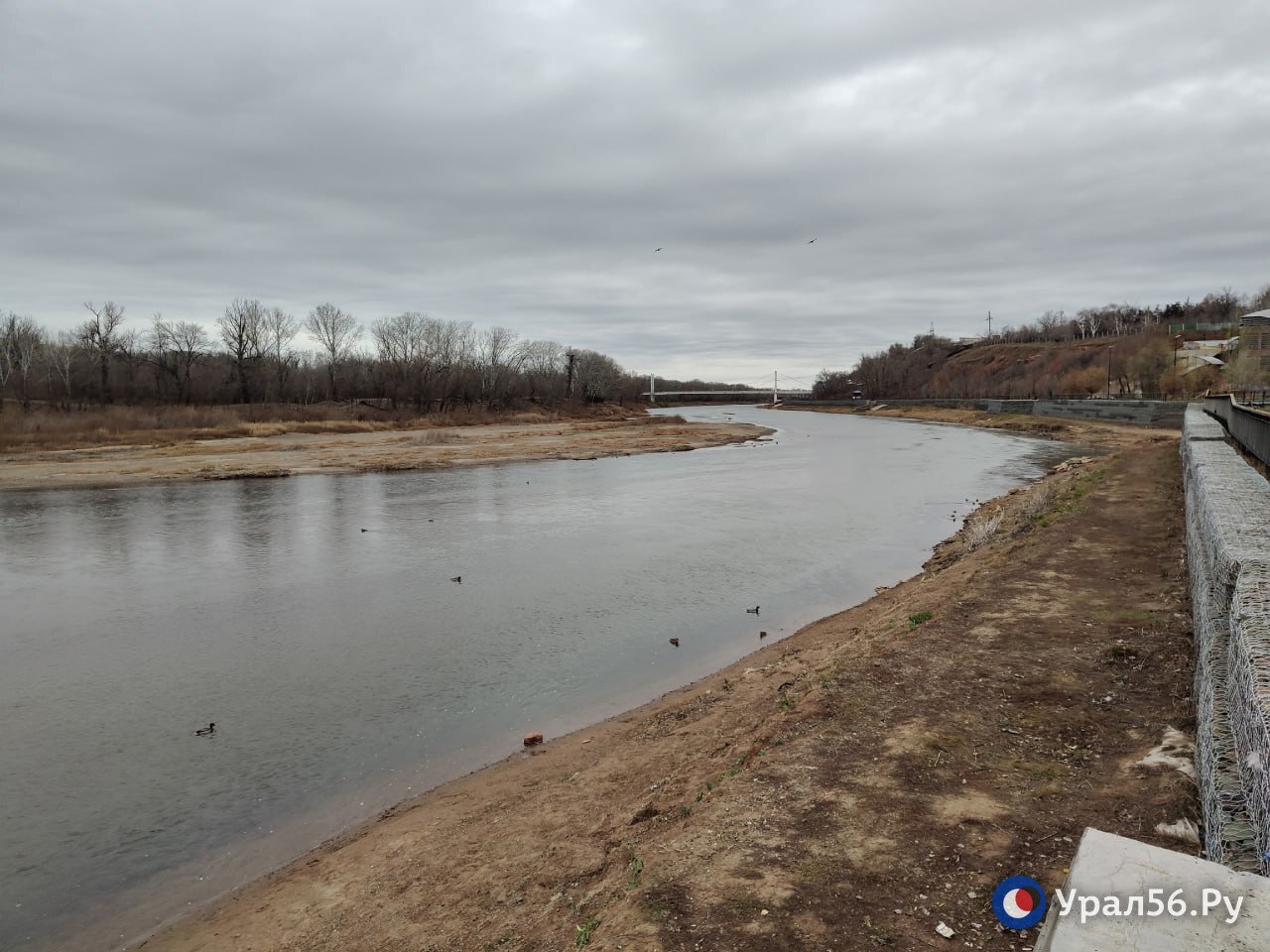 Урал в Оренбурге продолжает мелеть Урал в Оренбурге продолжает мелеть