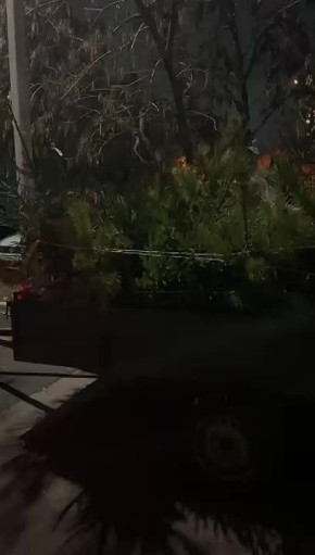 До Нового года осталось 56 дней