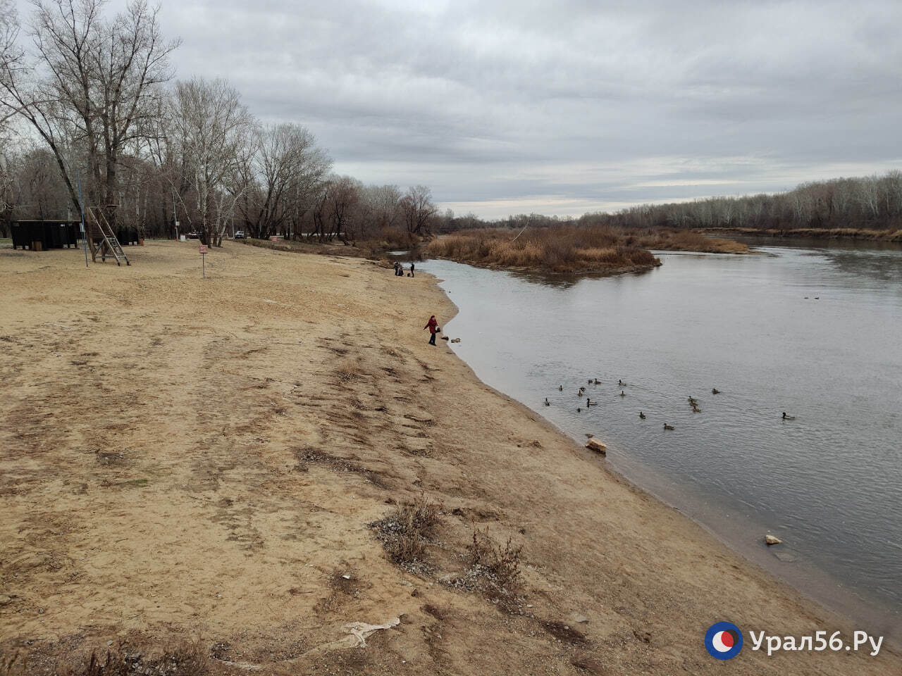 Урал в Оренбурге продолжает мелеть Урал в Оренбурге продолжает мелеть