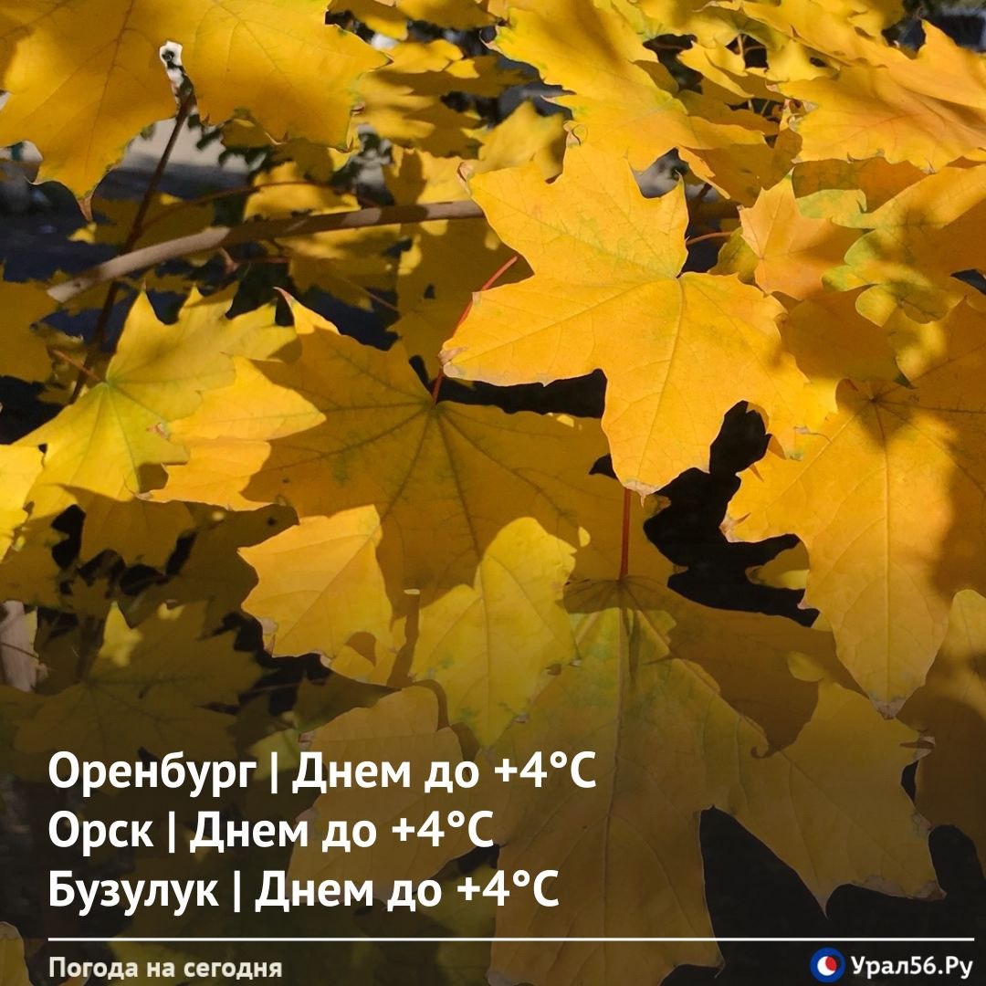 Сегодня в Оренбургской области днем ожидается всего около 4 градусов тепла