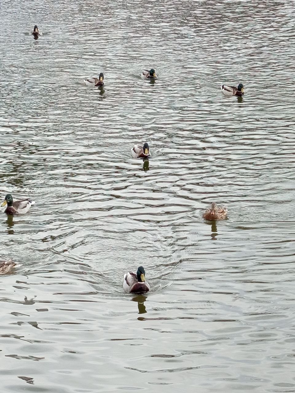 Доброе утро! Прогноз погоды на 6 ноября