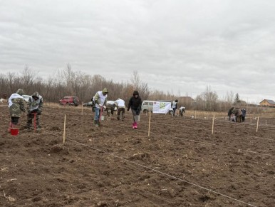 В Оренбуржье на центральном мероприятии акции «Сохраним лес» высадили более шести тысяч сеянцев
