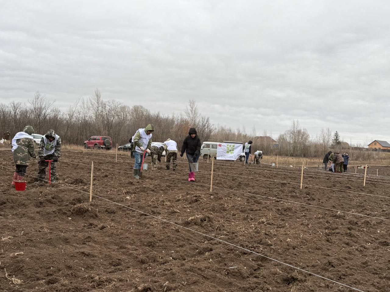 В Оренбуржье на центральном мероприятии акции «Сохраним лес» высадили более шести тысяч сеянцев