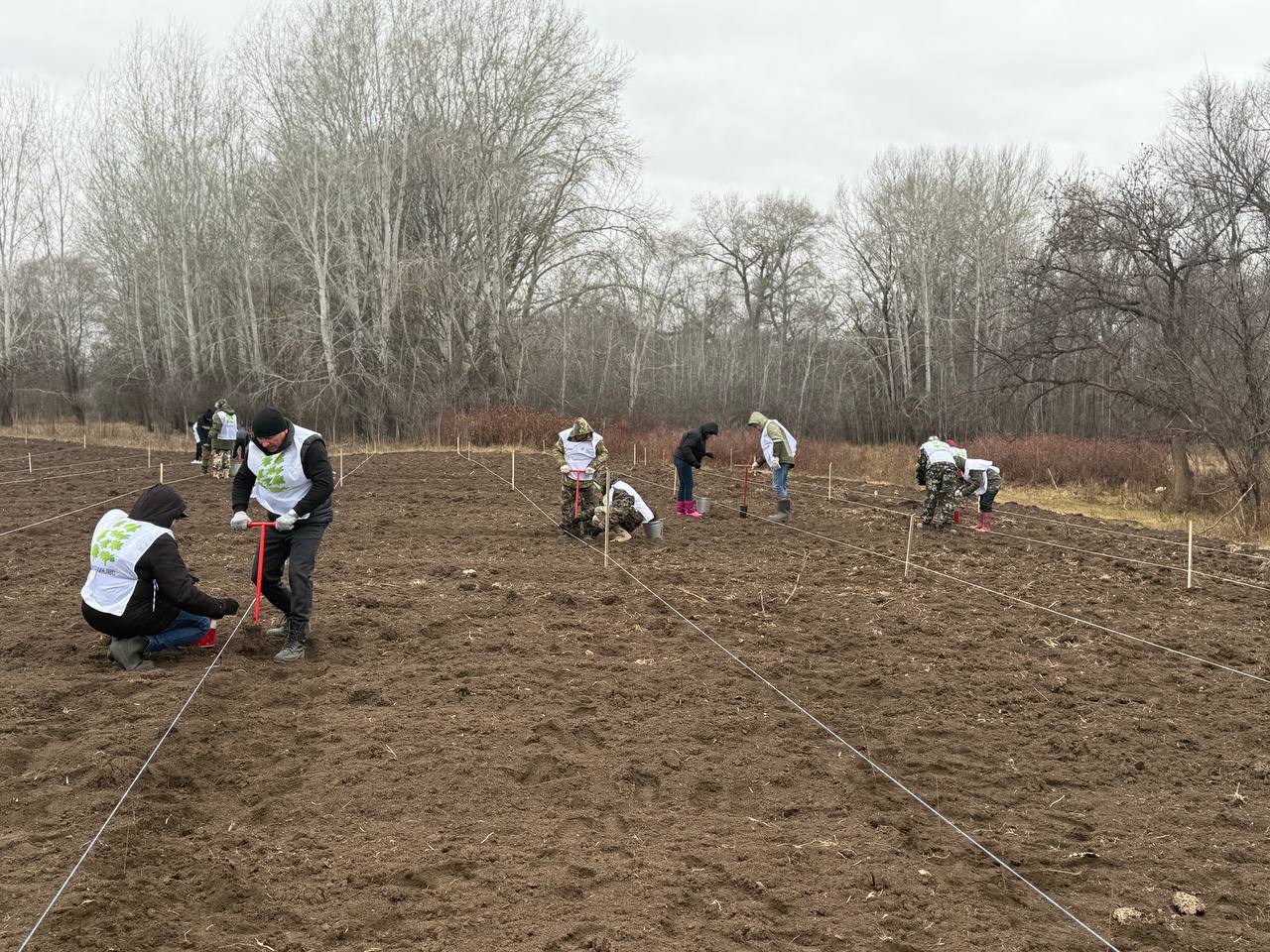 В Оренбуржье на центральном мероприятии акции «Сохраним лес» высадили более шести тысяч сеянцев В Оренбуржье на центральном мероприятии акции «Сохраним лес» высадили более шести тысяч сеянцев