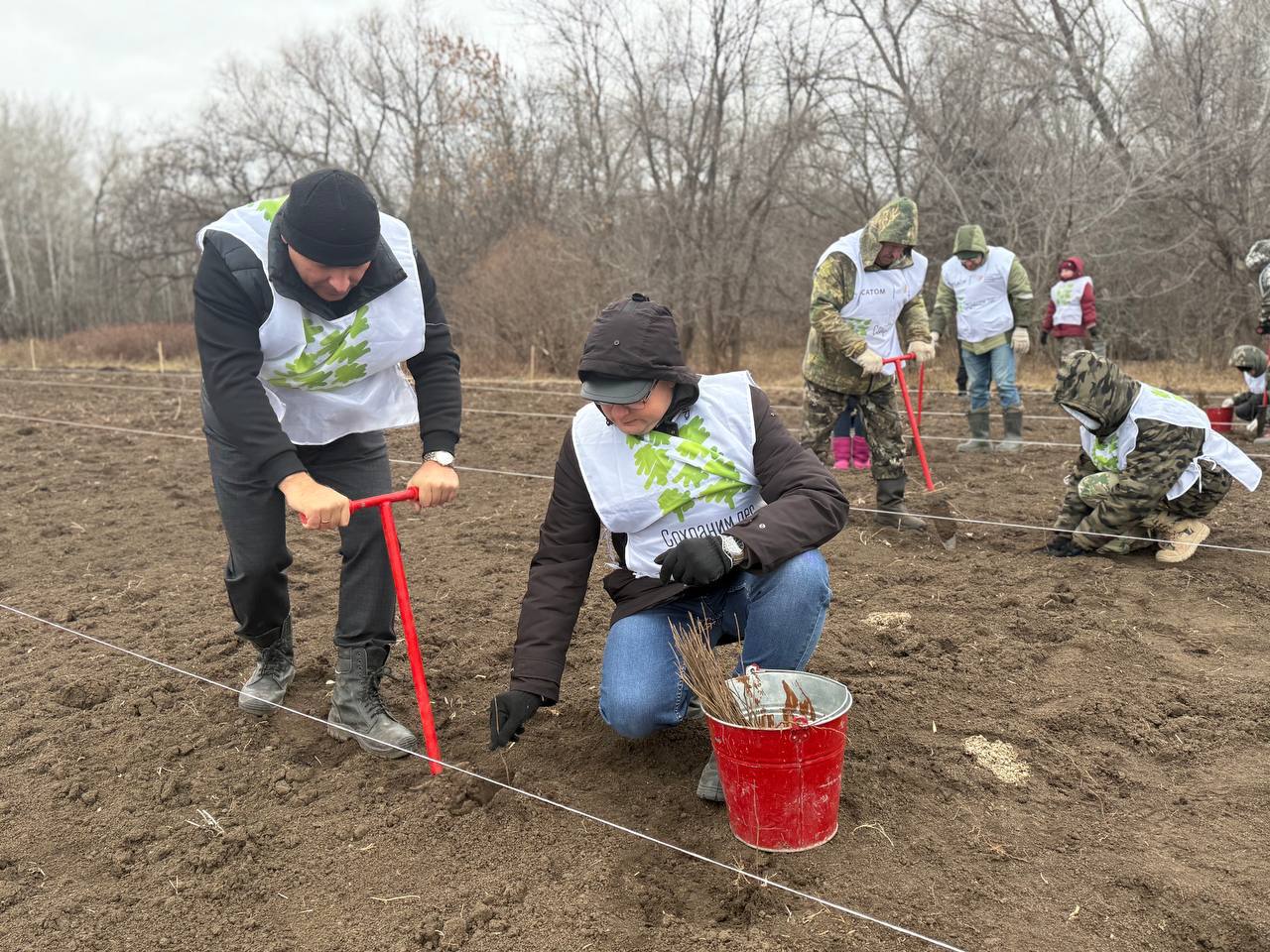 В Оренбуржье на центральном мероприятии акции «Сохраним лес» высадили более шести тысяч сеянцев В Оренбуржье на центральном мероприятии акции «Сохраним лес» высадили более шести тысяч сеянцев
