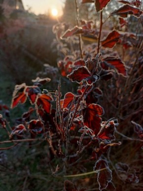 Доброе утро! Прогноз погоды на 7 ноября