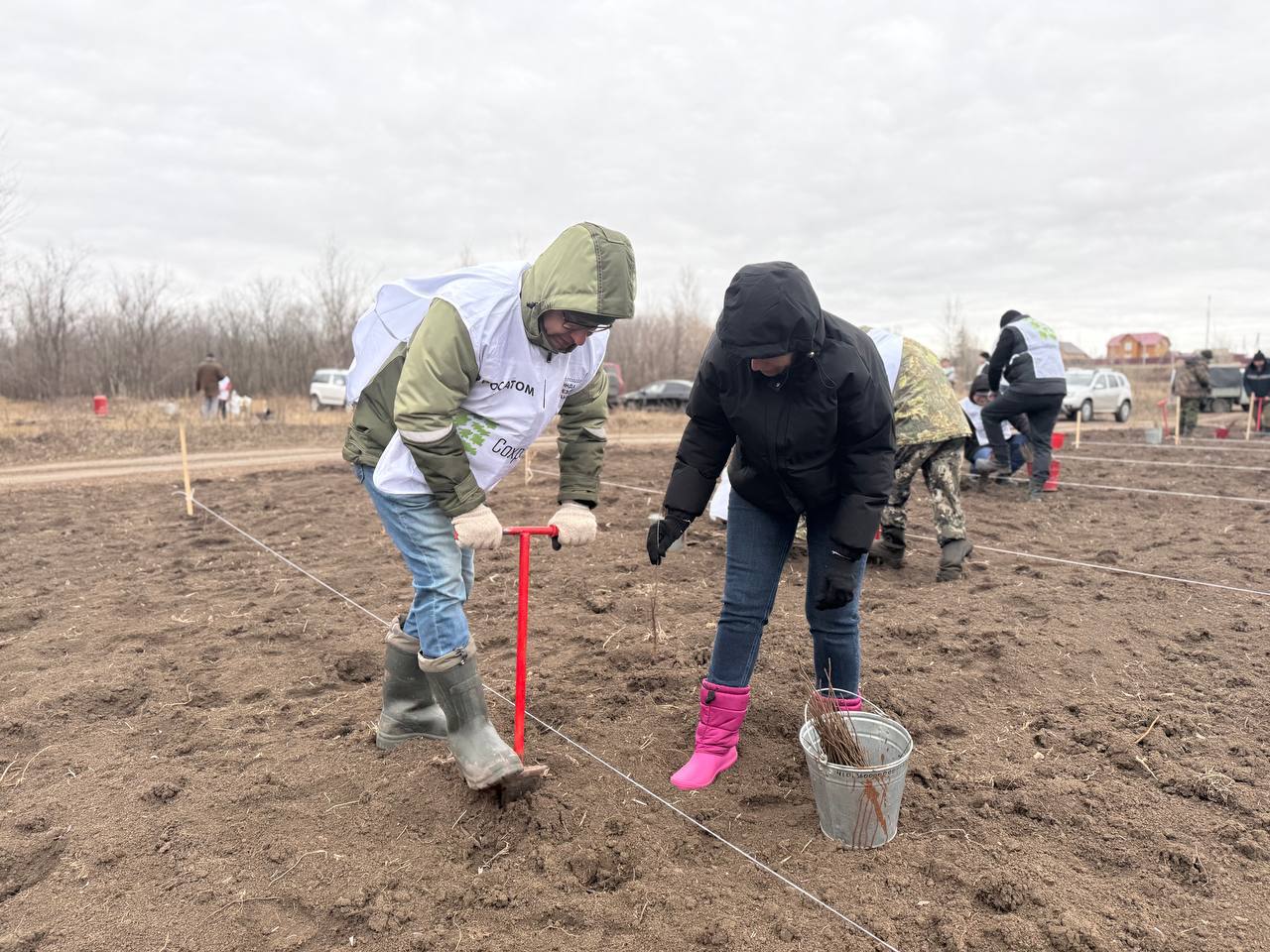 В Оренбуржье на центральном мероприятии акции «Сохраним лес» высадили более шести тысяч сеянцев В Оренбуржье на центральном мероприятии акции «Сохраним лес» высадили более шести тысяч сеянцев