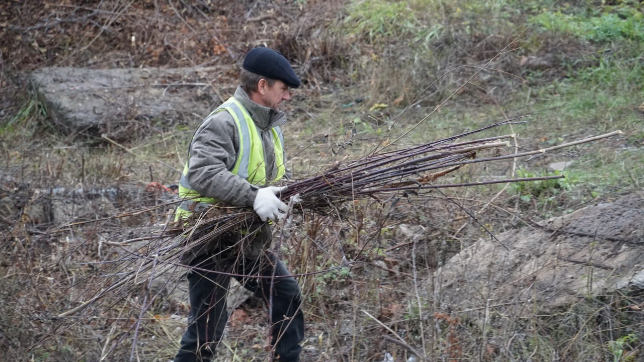В Бузулуке расчищают русло Суходола, по которому идет вода во время паводка В Бузулуке расчищают русло Суходола, по которому идет вода во время паводка