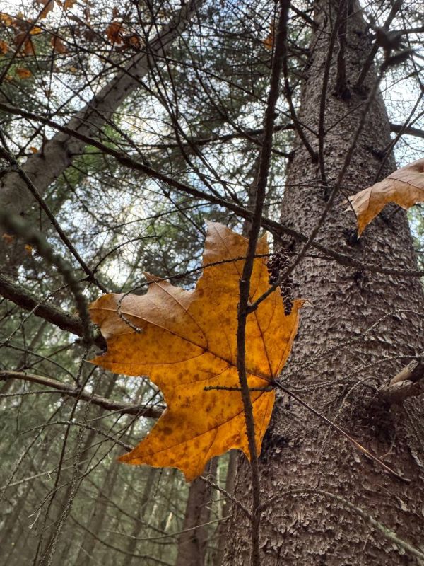 Доброе утро, Оренбуржье! Прогноз погоды на 9 ноября