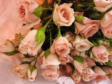 Как заставить цветы в вазе стоять дольше: добавьте в воду таблетку аспирина