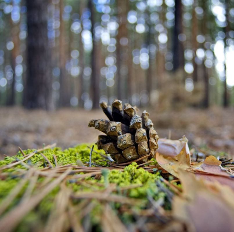 Доброе утро! Прогноз погоды на 9 ноября