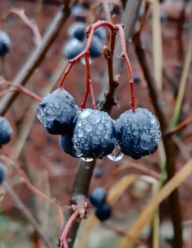 Доброе утро! Прогноз погоды на 11 ноября