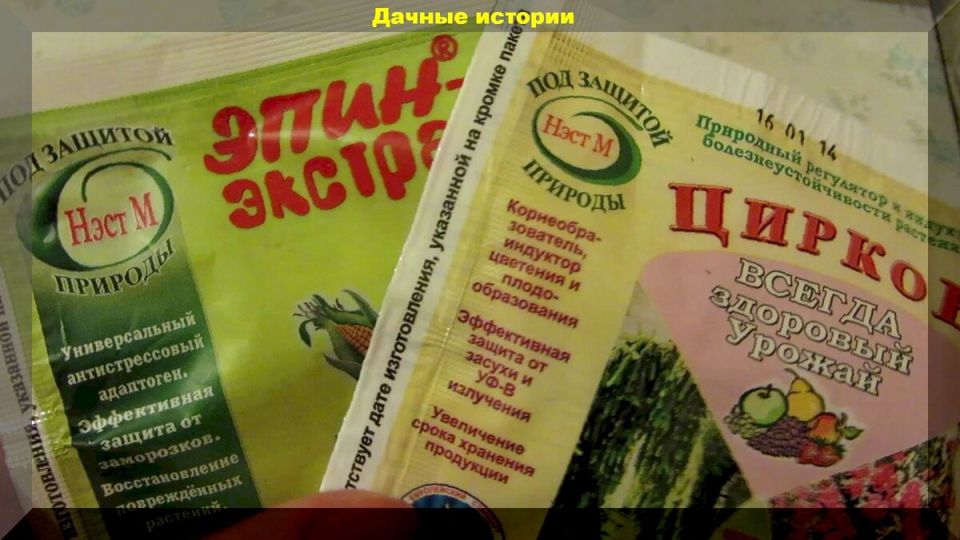 Как правильно использовать Эпин и Циркон: секреты эффективного ухода за растениями