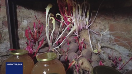 ОРЕНБУРЖЦЫ ДЕЛАЮТ ВКУСНЫЕ ЗАГОТОВКИ К ПРЕДСТОЯЩЕЙ ЗИМЕ