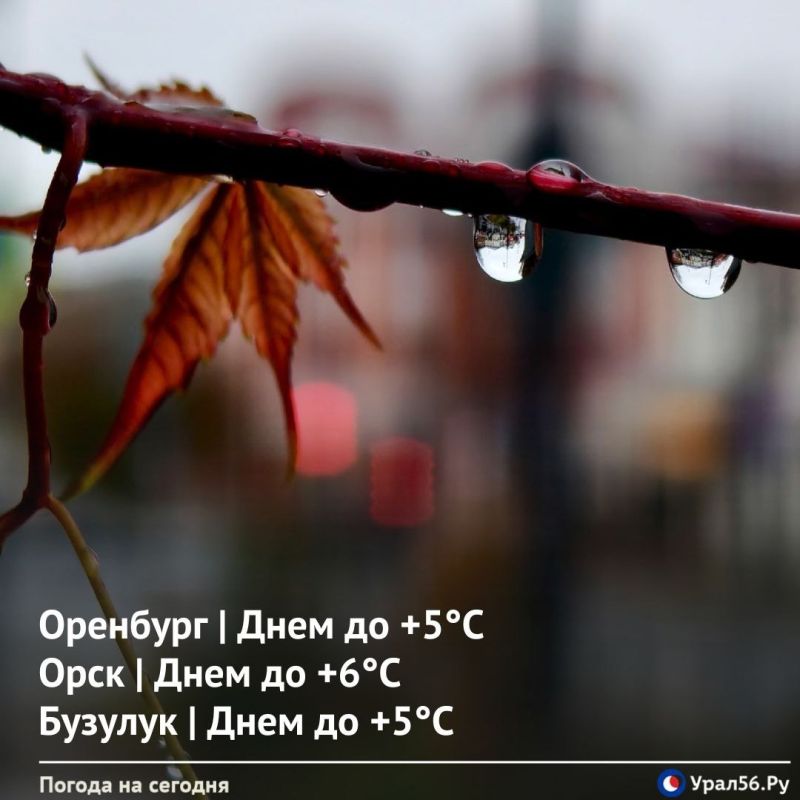 Доброе утро