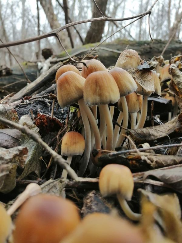 Доброе утро, Оренбуржье! Прогноз погоды на 13 ноября