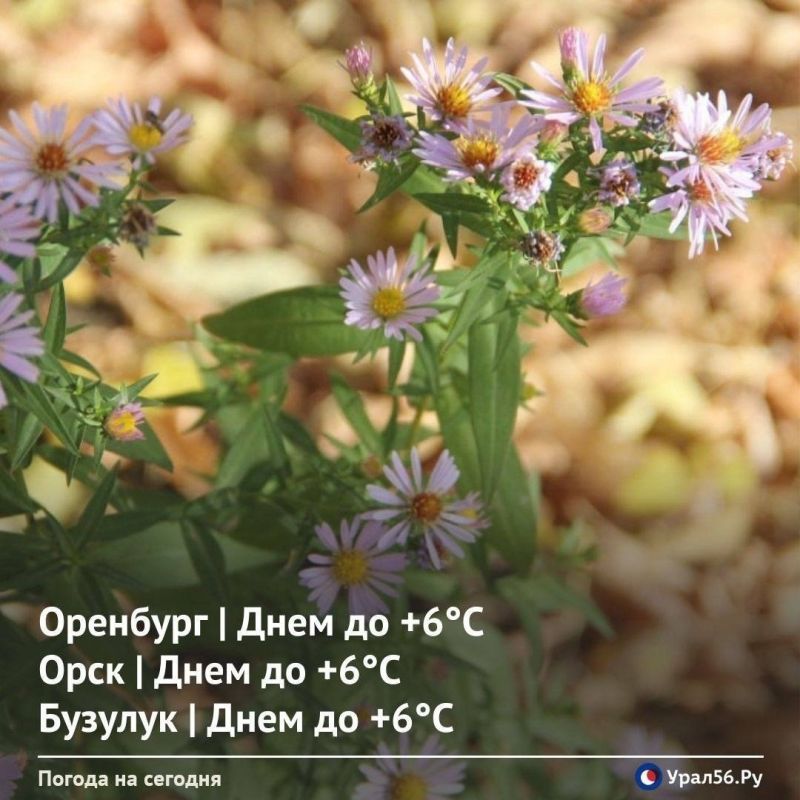 Доброе утро