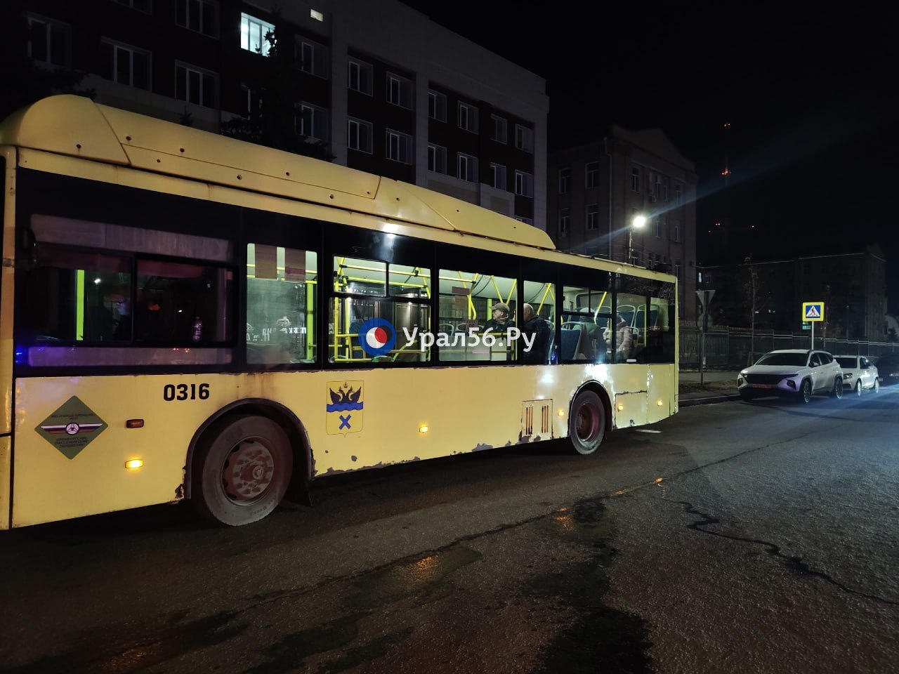 Среди спасённых жителей дома, в котором произошел сильнейший пожар, есть и пес Вулкан Среди спасённых жителей дома, в котором произошел сильнейший пожар, есть и пес Вулкан