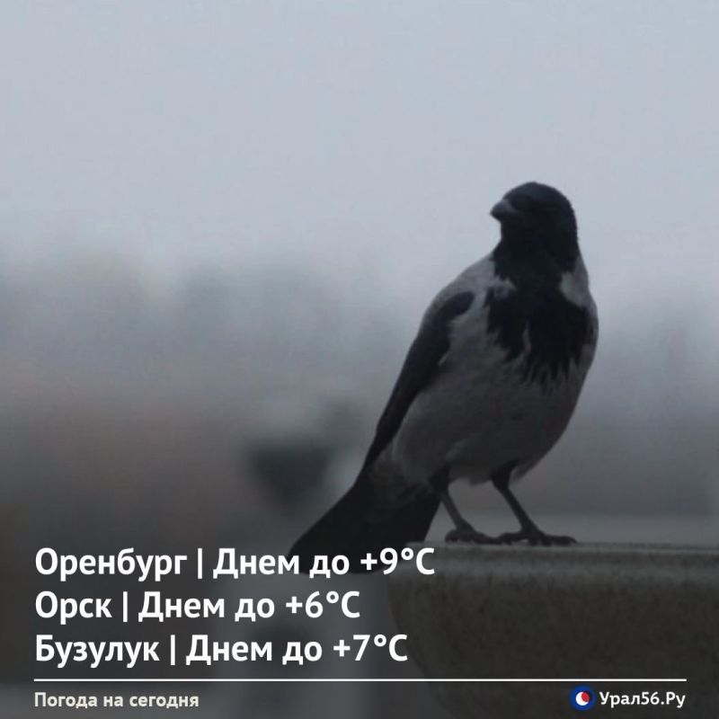 Доброе утро