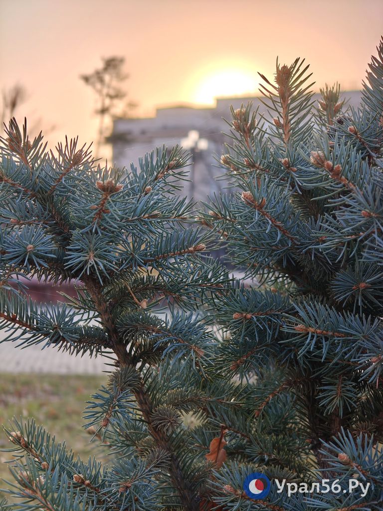 Яркий и теплый день в середине ноября в Оренбурге Яркий и теплый день в середине ноября в Оренбурге