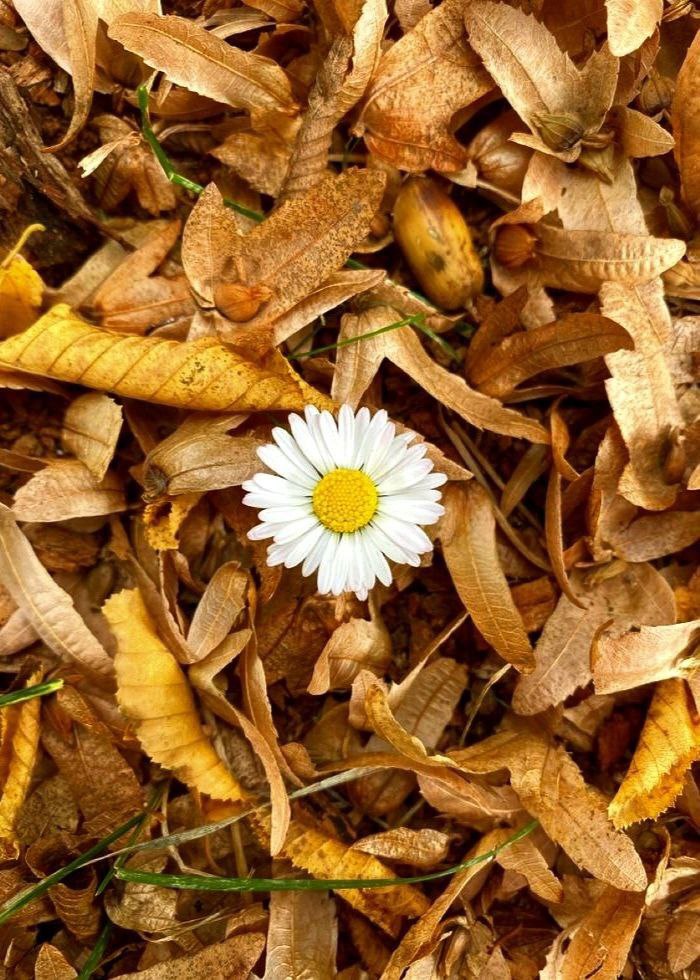 Доброе утро! Прогноз погоды на 14 ноября