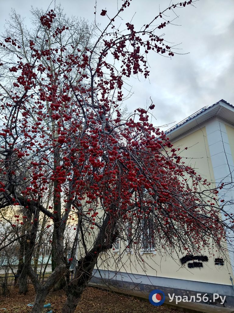 Один осенний вечер в Промышленном районе Оренбурга Один осенний вечер в Промышленном районе Оренбурга