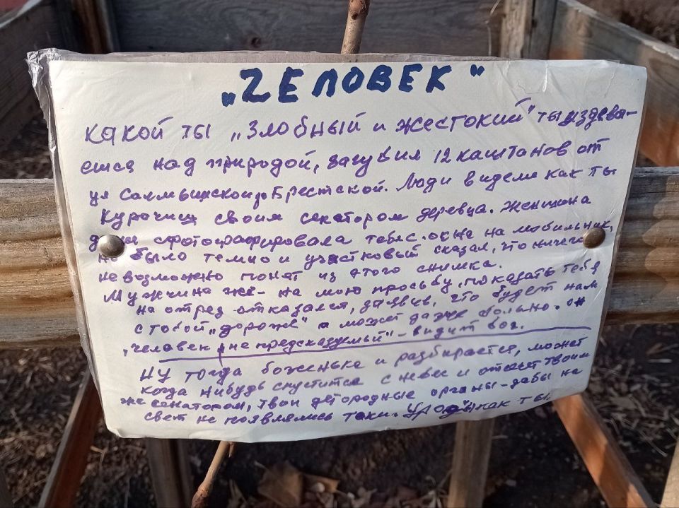 Какой ты злобный и жестокий...: 12 каштанов уничтожил неизвестный на ул. Юных Ленинцев Оренбурга