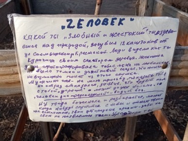Какой ты злобный и жестокий...: 12 каштанов уничтожил неизвестный на ул. Юных Ленинцев Оренбурга