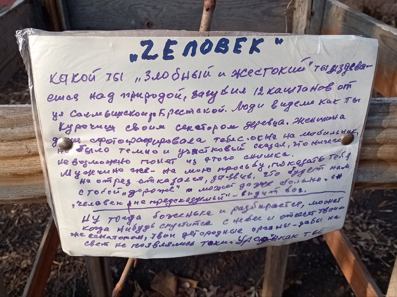 Какой ты злобный и жестокий...: 12 каштанов уничтожил неизвестный на ул. Юных Ленинцев Оренбурга